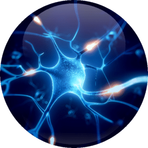Systeme nerveux autonome synapse hypnose