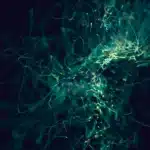 Strategie pour augmenter son intelligence emotionnelle