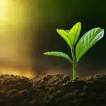 Éveil de la conscience Eveil de la conscience Hypnotherapeute Paris