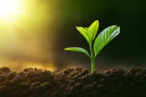 Eveil de la conscience Hypnotherapeute Paris