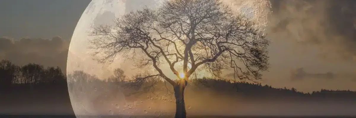 Magétisme-Paris-hypnose-déshypnose