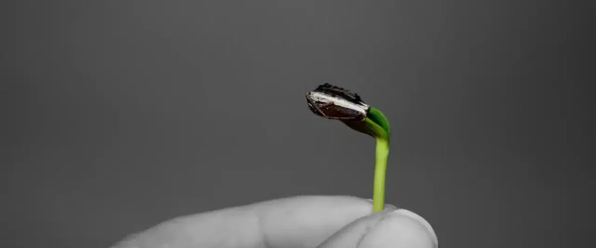 Eveil de la conscience